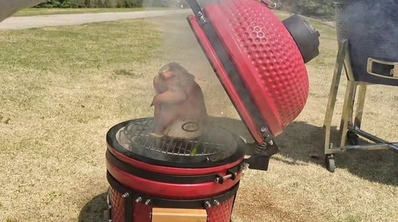 Kitchenware cerâmico vitrificado vermelho do carvão vegetal do fumador da grade de um Kamado de 15 polegadas